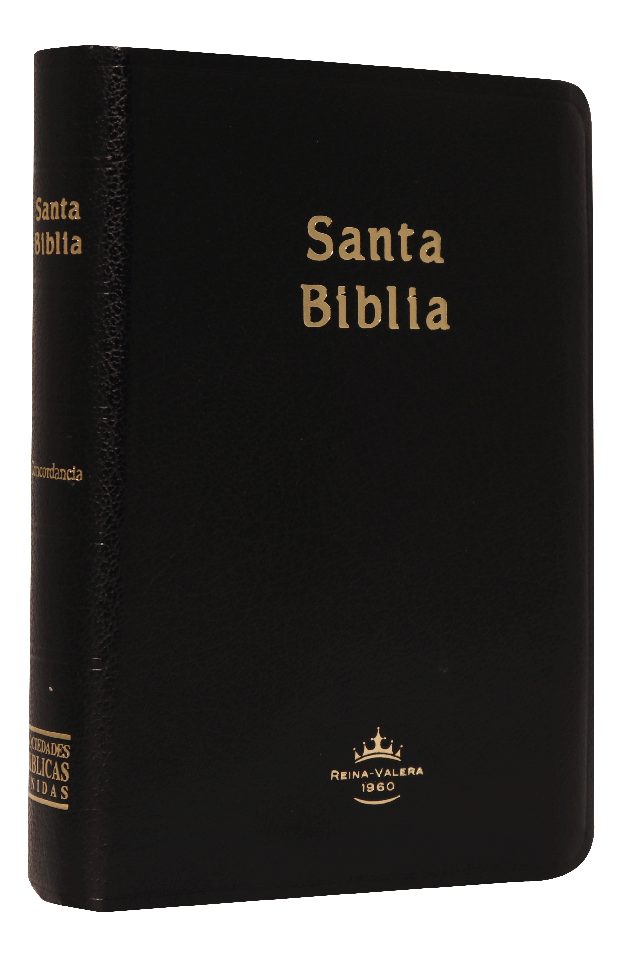 Santa Biblia RVR045C imit piel negro