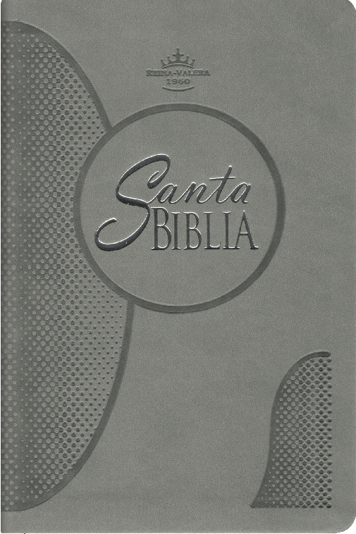 Biblia reina Valera 1960, (Mediana, color gris, letra grande)
