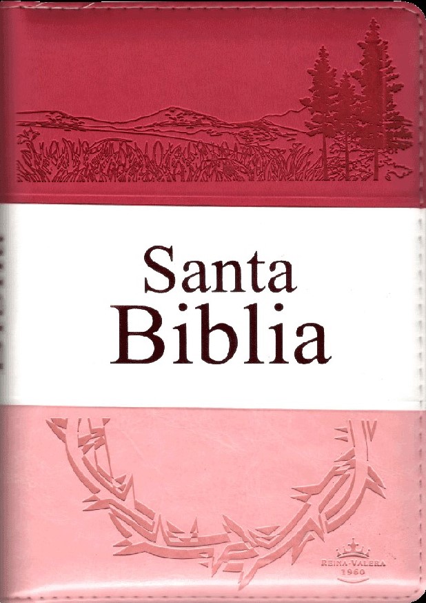 Biblia Reina Valera 1960 Mediana Letra Grande Imitación Piel Fiusha Rosa Pastel