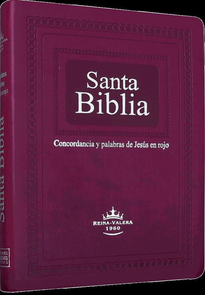 Biblia Reina Valera 1960 Grande Letra Gigante Imitación Piel Púrpura
