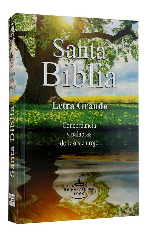 Biblia Reina Valera 1960 mediana letra grande rústica