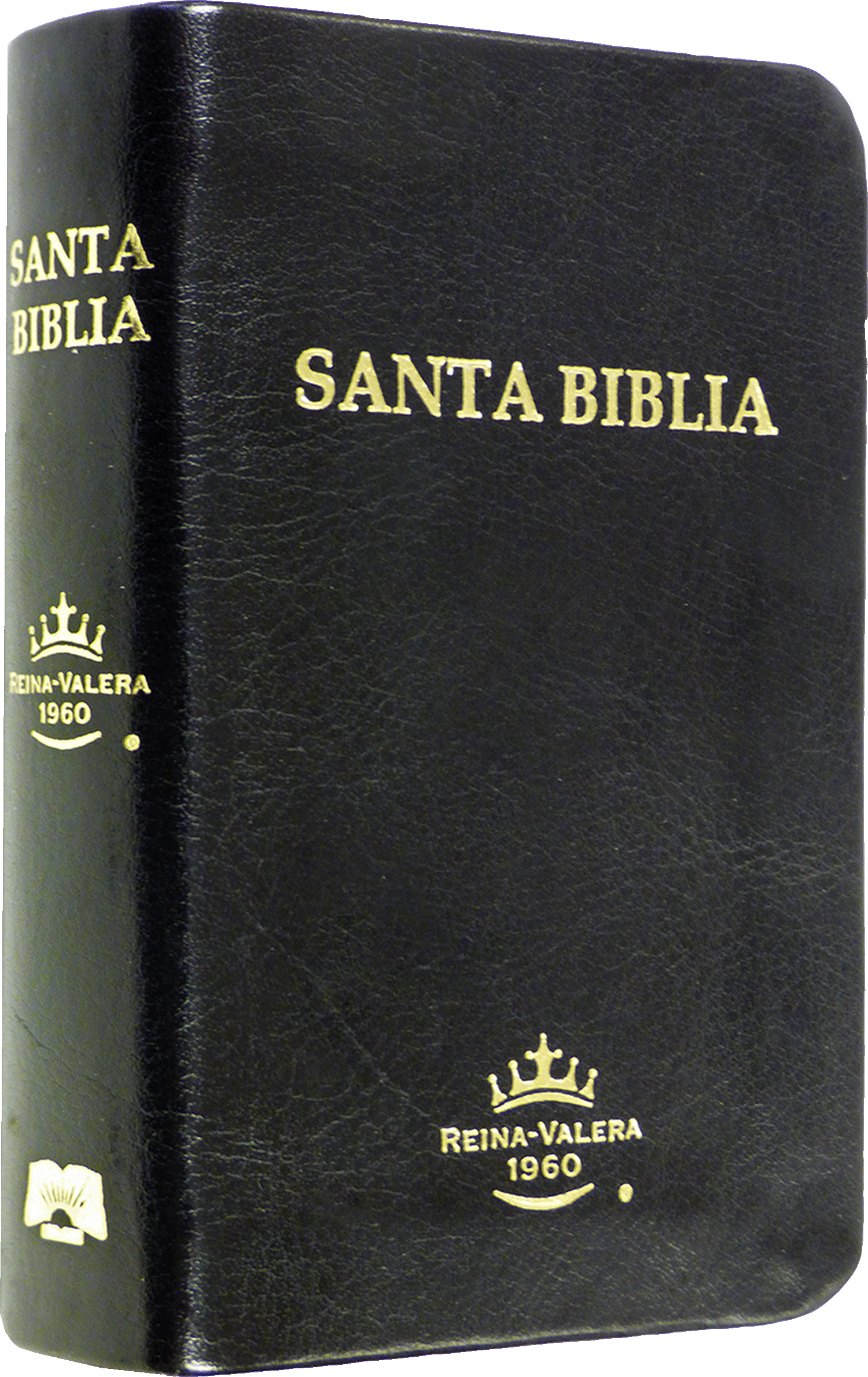 Santa biblia RVR015Z PJR color azul , canto plateado